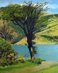 Akaroa & Christchurch, N.Z.