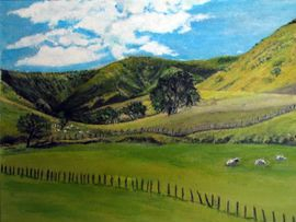 Akaroa & Christchurch, N.Z.