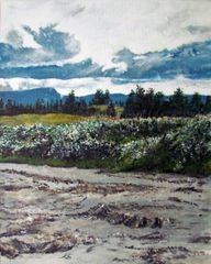 Gros Morne Newfoundland